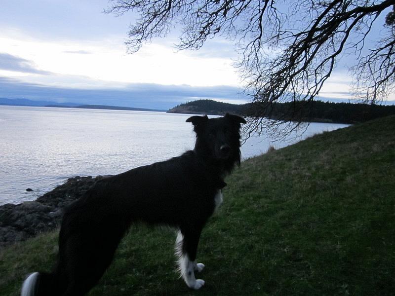 Black_and_White_with_Sky_color-Mitchell_Bay_shore