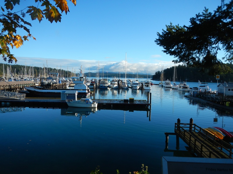 Friday_harbor_reflection