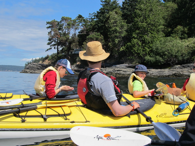 Holding_and_examining_a_jellyfish_San_Juan_Islands_WA