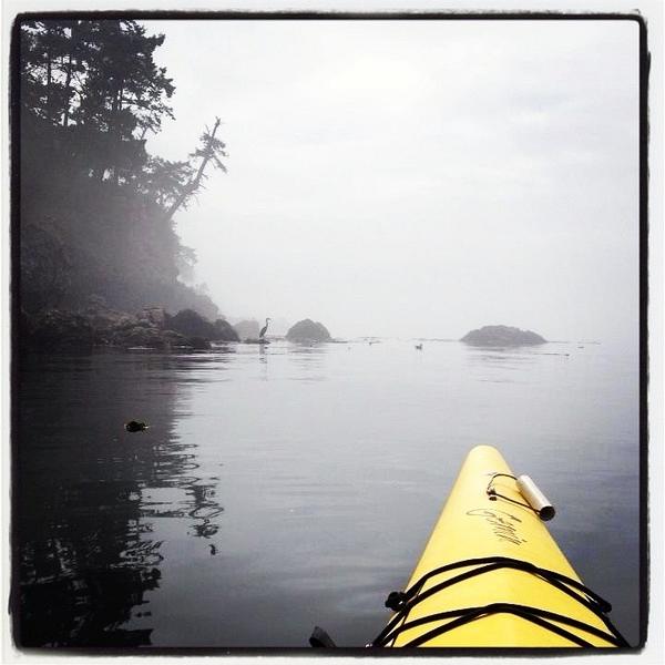 Kayaking_on_the_west_side_of_San_Juan_Island