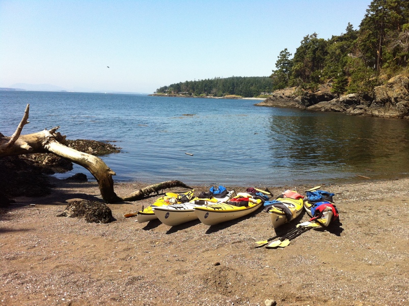 On_shore_for_a_lunch_after_seeing_orca_whales_on_a_San_Juan_Islands_sea_kayaking_tour
