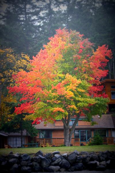 Rust_and_rustic_in_the_San_Juans_