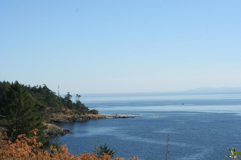 Views_from_Heaven_on_earth-_Friday_Harbor_WA