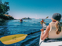 Discover Sea Kayaking in the San Juans