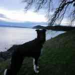 Black and White with Sky color-Mitchell Bay shore