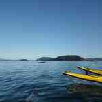 Close encounter with a transient Orca whale San Juan Islands