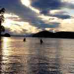 In search of orca whales at sunset San Juan Islands