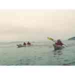Orca whale encounter with Crystal Seas Kayaking