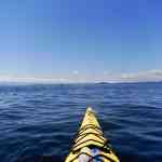 Orca whales seen from a sea kayaking tour off of San Juan Island