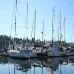 Port of Friday Harbor