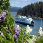 Spring in the harbor