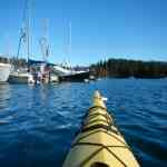 View from the kayak