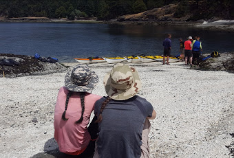 Friday Harbor Day Kayaking Trip