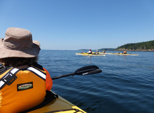 3 Eco-Friendly Reasons to Try a Sea Kayaking Tour